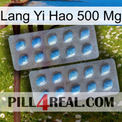 Lang Yi Hao 500 Mg viagra4